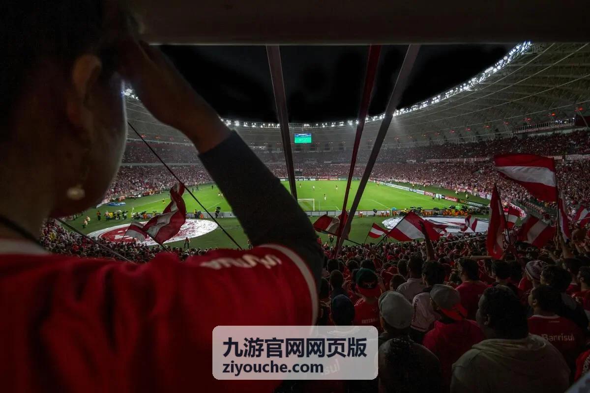 九游官网网页版账号安全验证说明配图