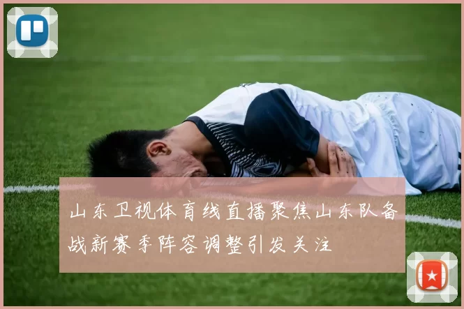山东卫视体育线直播聚焦山东队备战新赛季阵容调整引发关注
