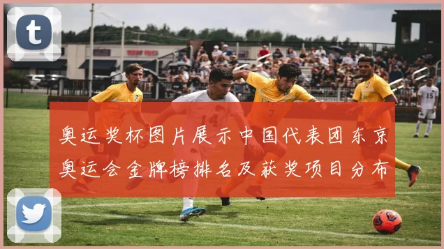 奥运奖杯图片展示中国代表团东京奥运会金牌榜排名及获奖项目分布